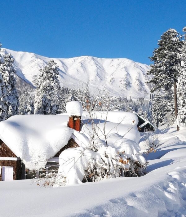 Pahalgam Jammu image