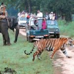 Corbett Nainital image