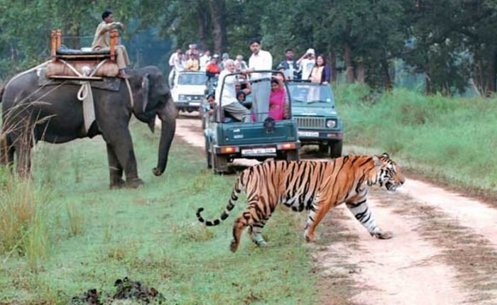 Corbett Nainital image