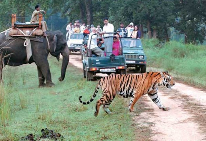 Corbett Nainital image