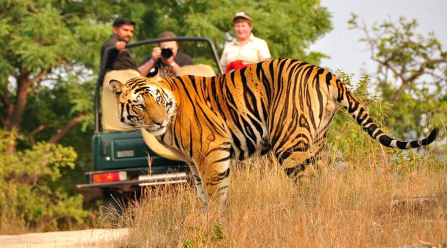 Corbett Nainital image